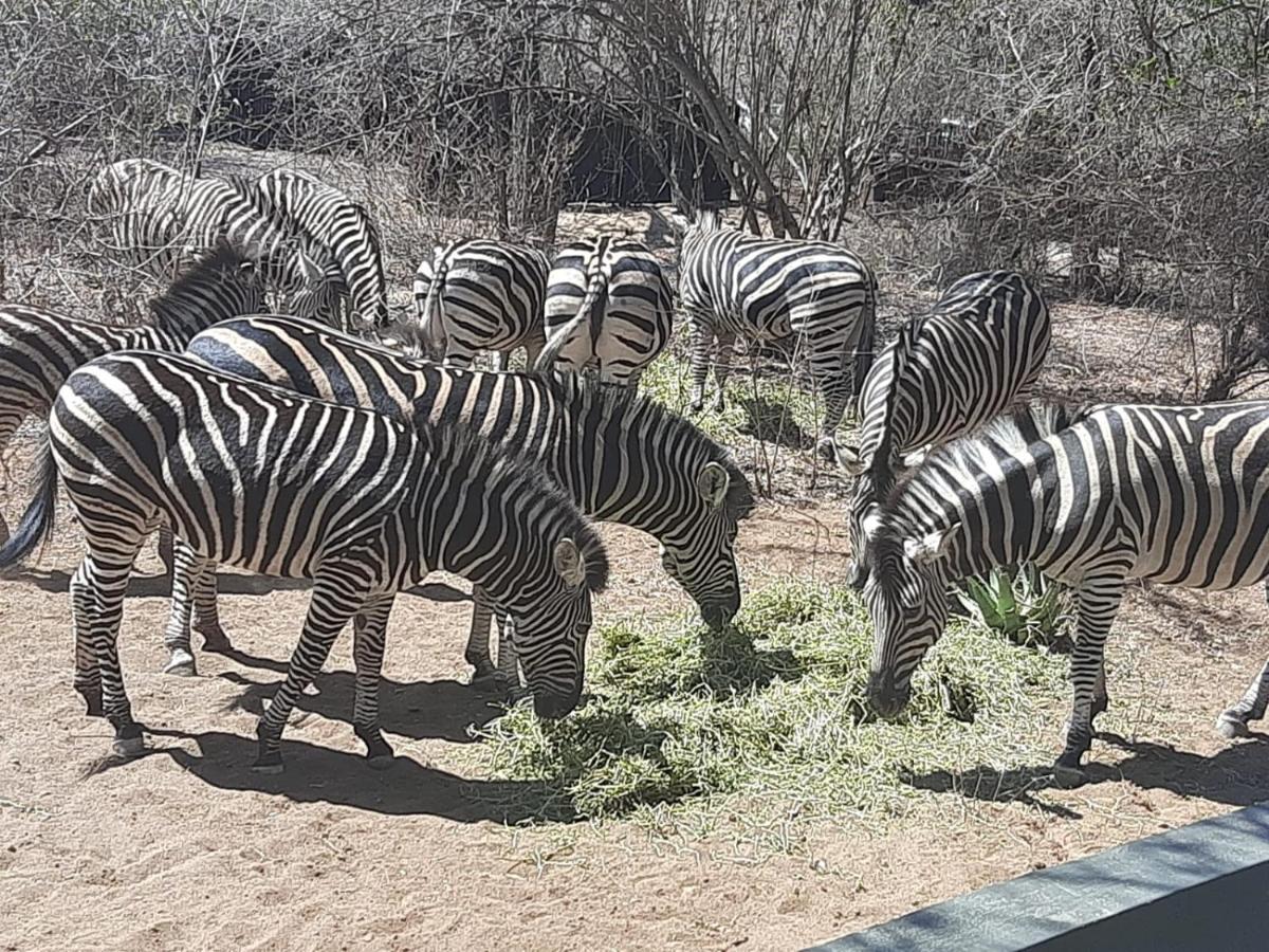 African Bush Escape Marloth Park Exterior foto