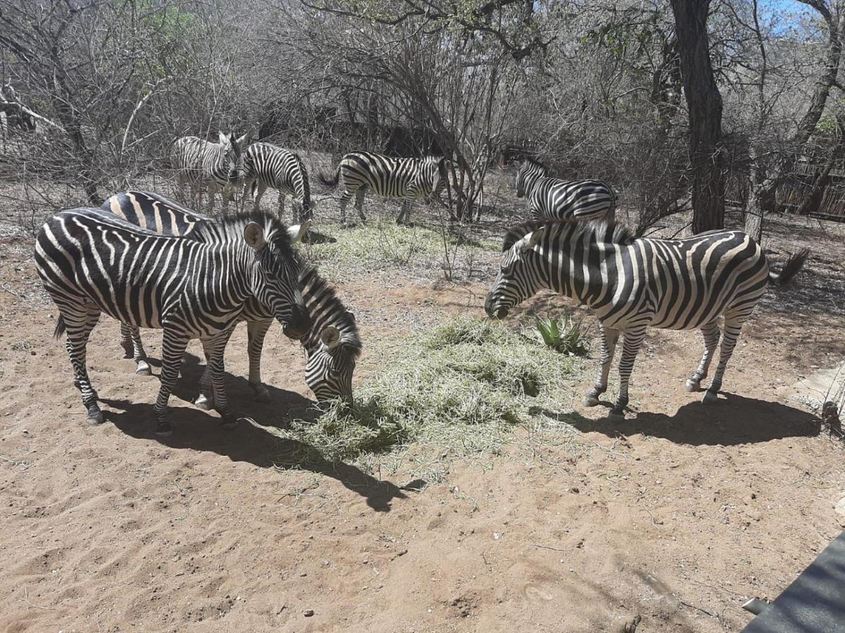 African Bush Escape Marloth Park Exterior foto