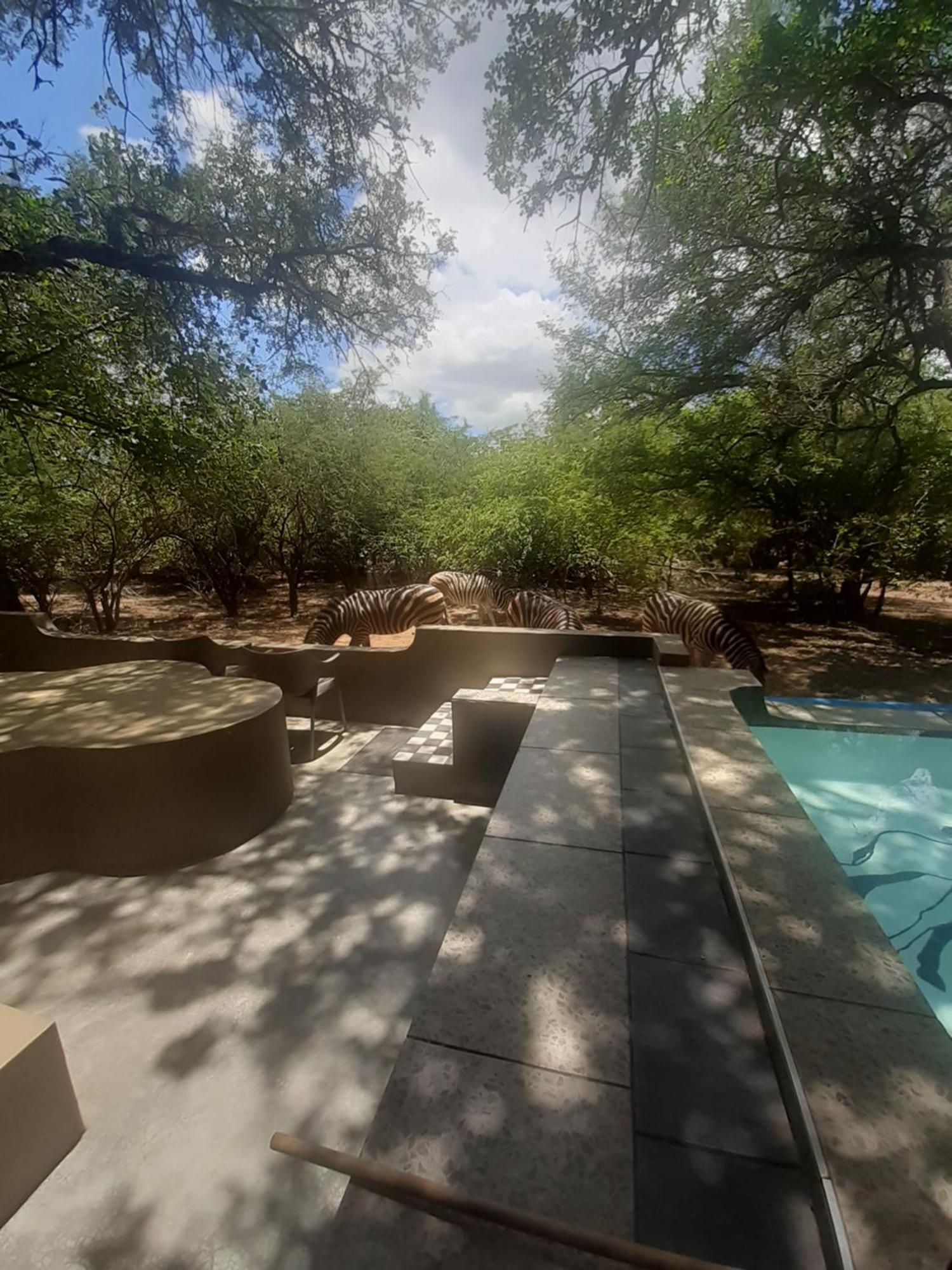 African Bush Escape Marloth Park Exterior foto