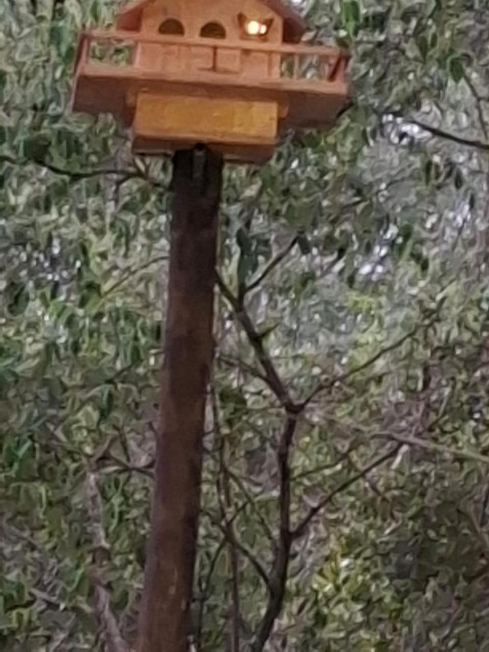 African Bush Escape Marloth Park Exterior foto