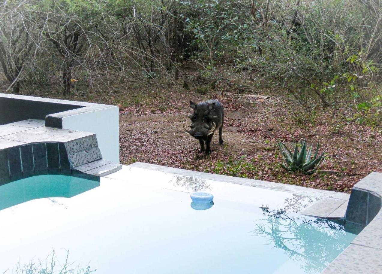 African Bush Escape Marloth Park Exterior foto